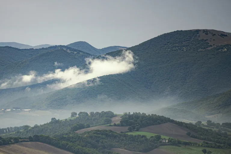 Verdicchio di Matelica Riserva DOCG