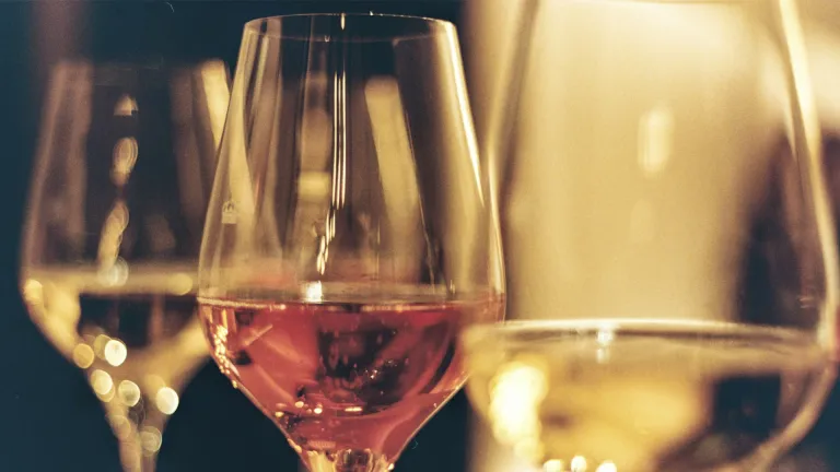 Vermentino (Rolle) Wine: An In-Depth Profile