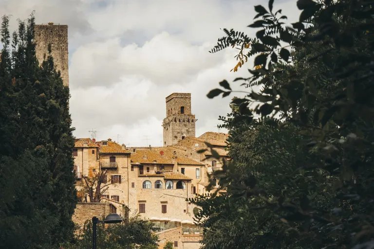 Vernaccia di San Gimignano
