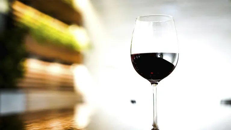 Discover the Rich Flavors of Vespolina Wine: A Comprehensive Guide