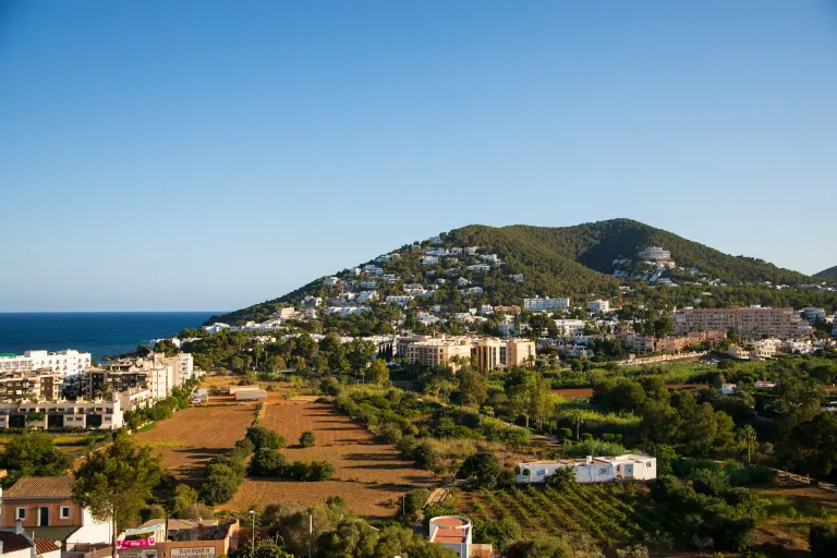 Vi de la Terra Eivissa