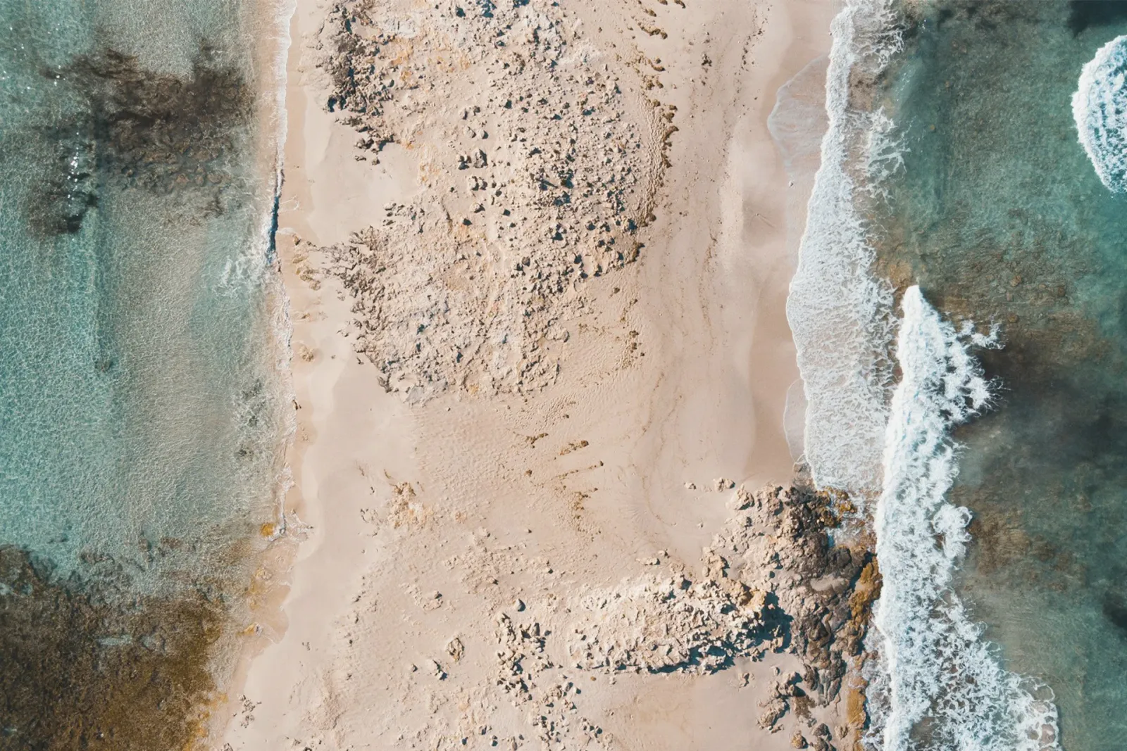 Vi de la Terra Formentera