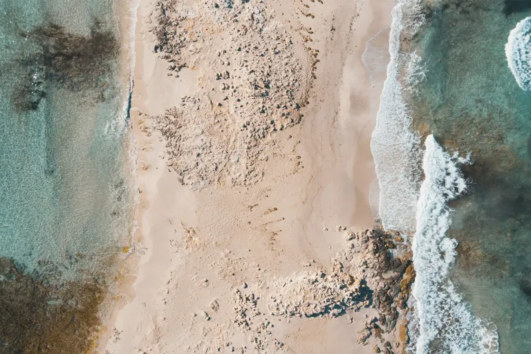 Vi de la Terra Formentera