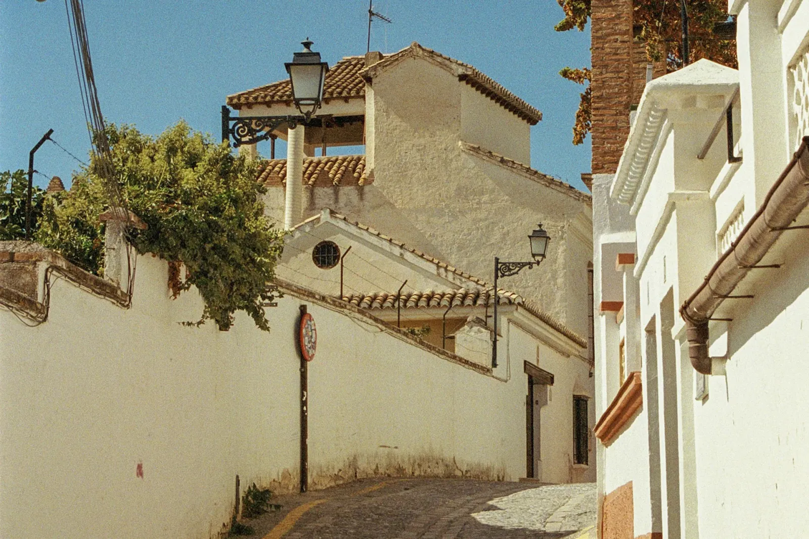 Vignanello DOC