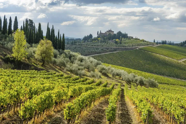 Vin Santo del Chianti