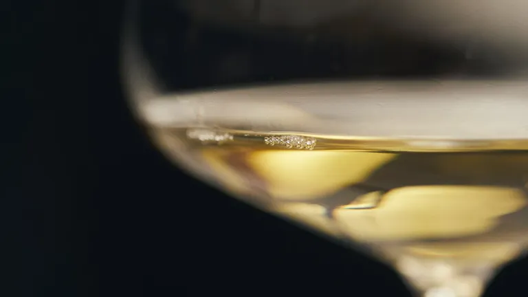 Xynisteri: an In-Depth Wine Profile