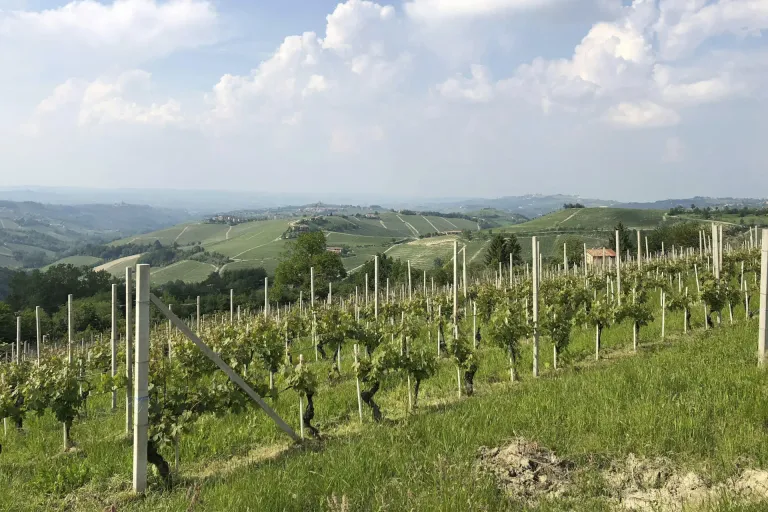 Alba