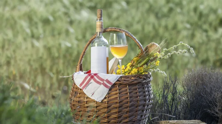 Wine Business Management | Natural and Organic Wines: An Overview of Consumer Trends
