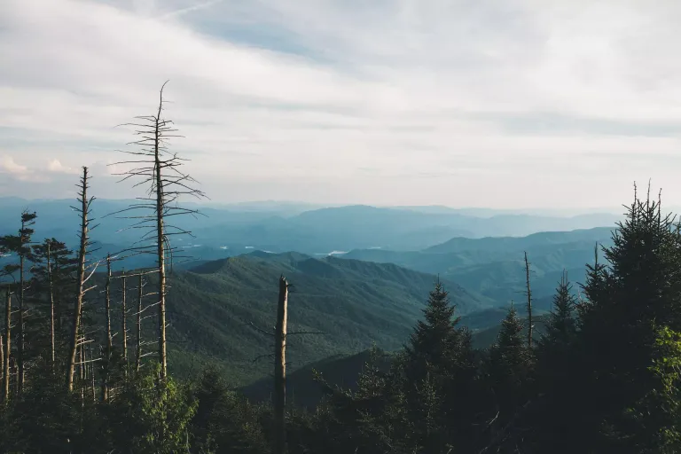 Appalachian Foothills