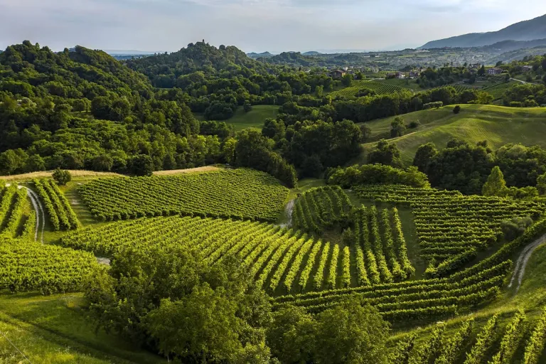 Asolo Montello - Colli Asolani