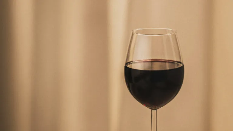 Baco Noir: An In-Depth Wine Profile