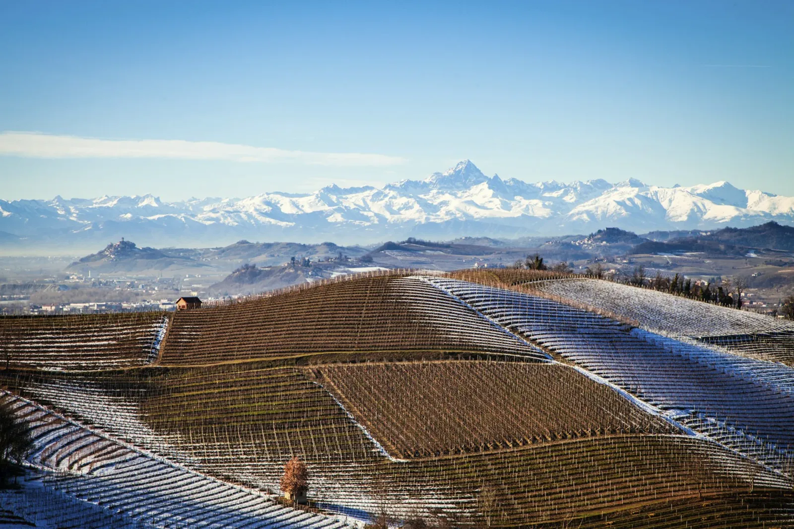 Barbaresco