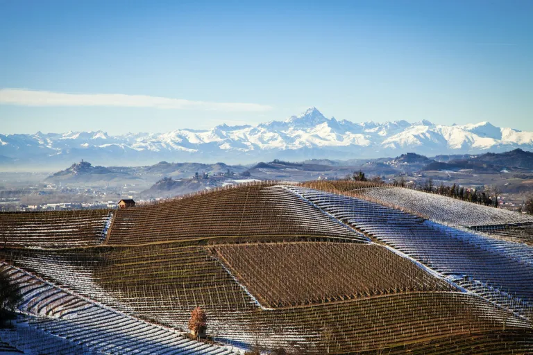 Barbaresco