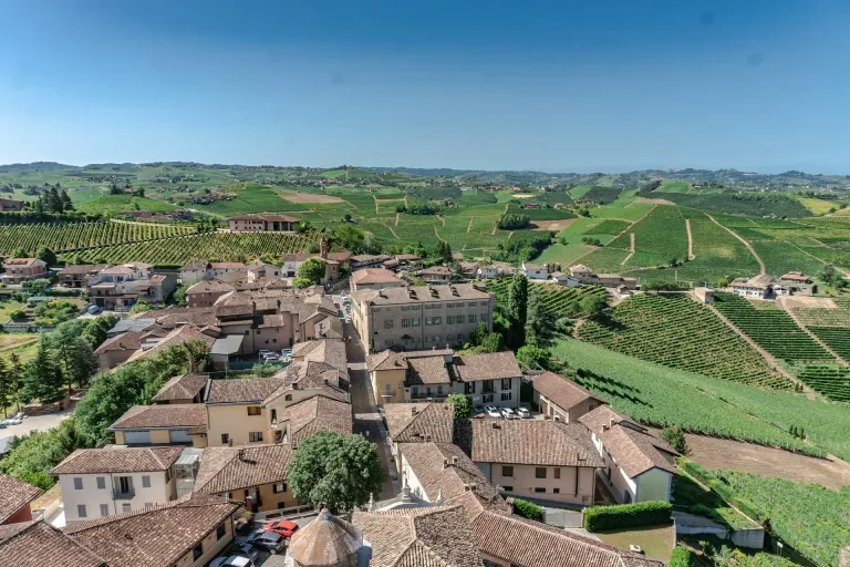 Barbera d'Alba