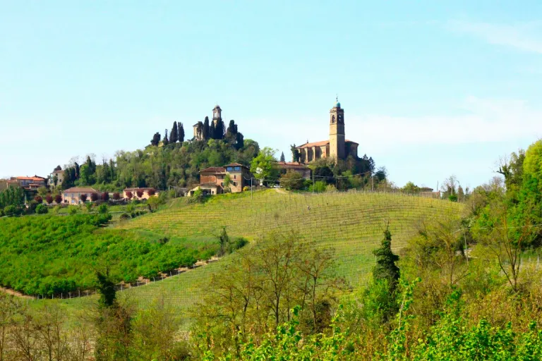 Barbera del Monferrato Superiore