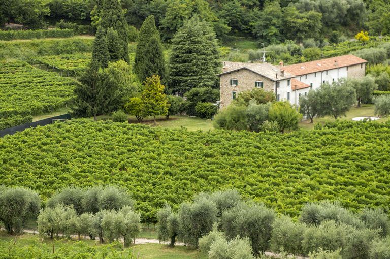 Bardolino