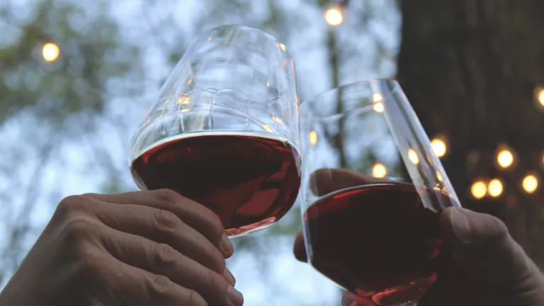 Barolo: In-Depth Wine Profile