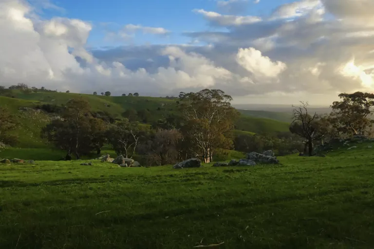 Barossa Valley