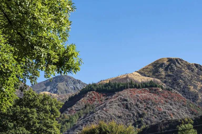 Bendigo (Central Otago)
