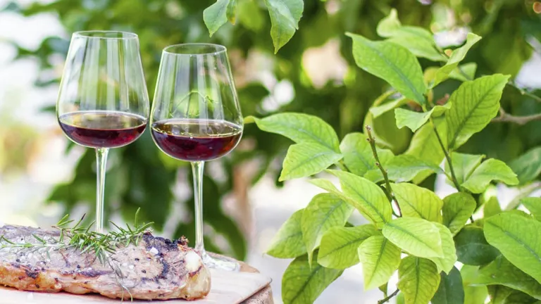 Bonarda: An In-Depth Wine Profile