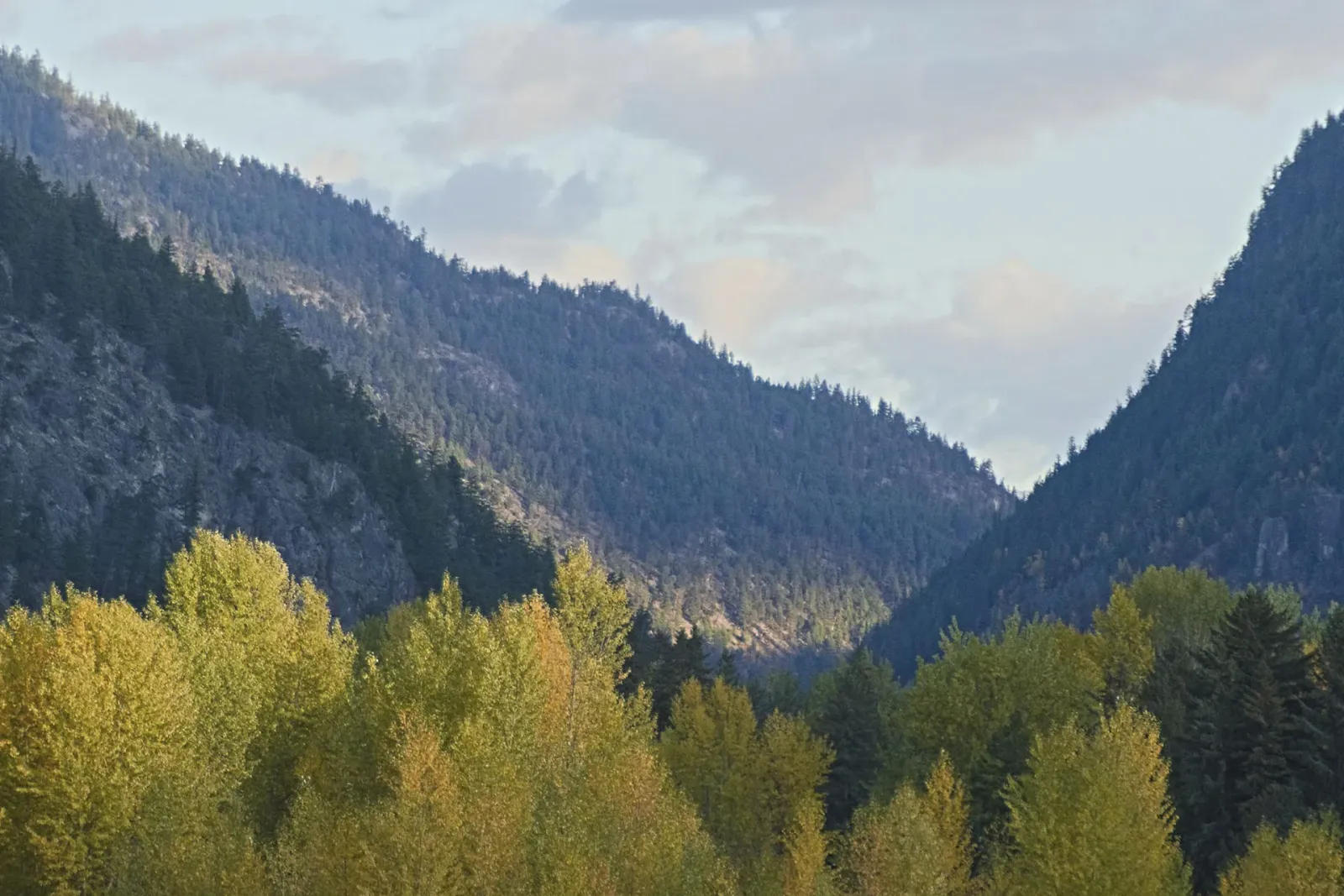Skaha Bench