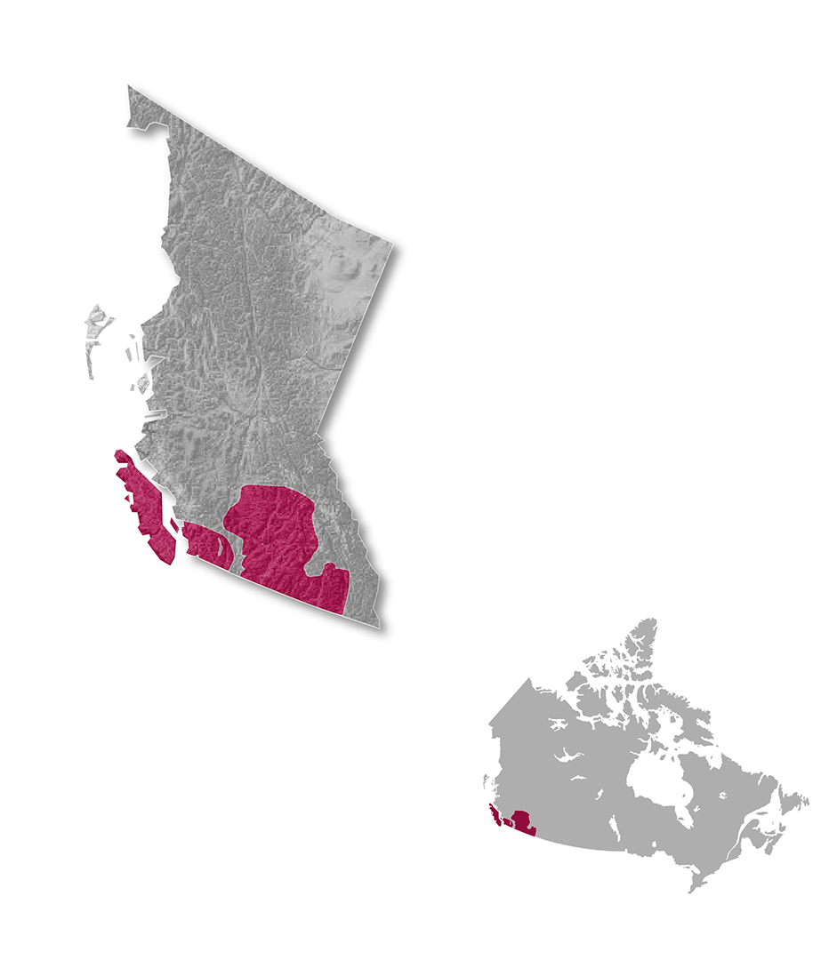 British Columbia wine regions map
