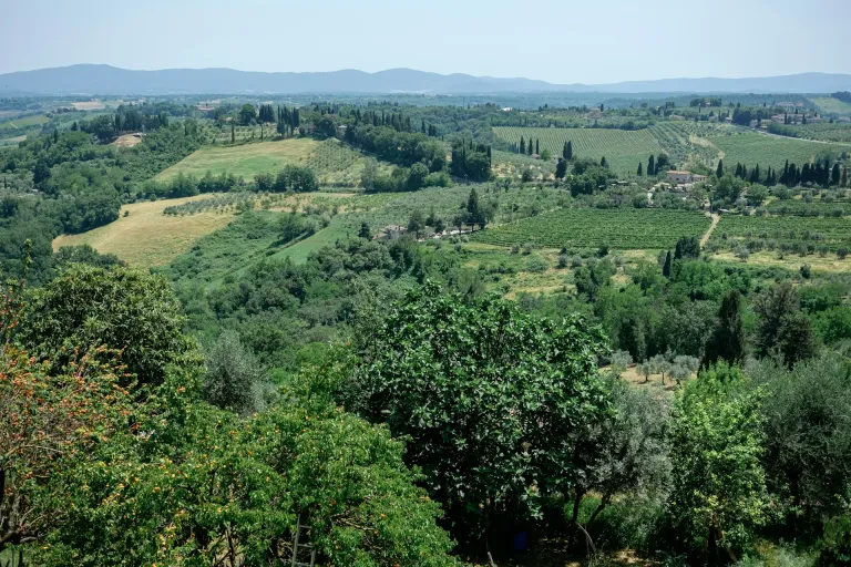Cannellino di Frascati DOCG