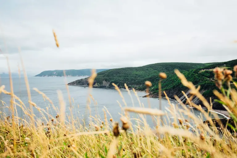 Cape Breton