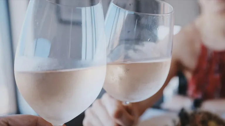 Catawba: An In-Depth Wine Profile