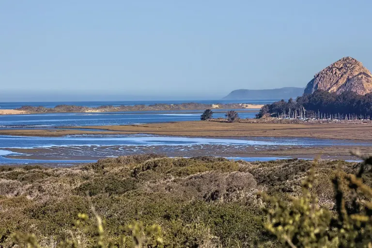 Central Coast AVA