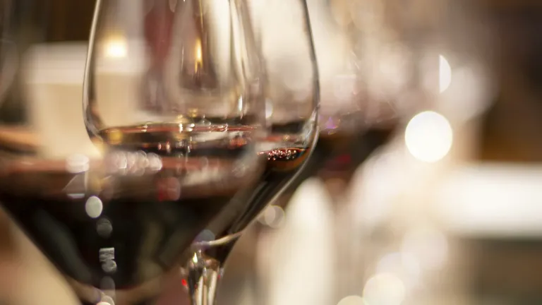 Cinsault: an In-Depth Wine Profile