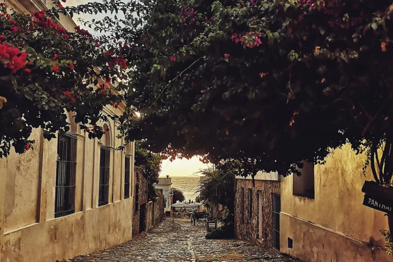 Colonia