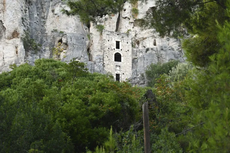 Dalmatian