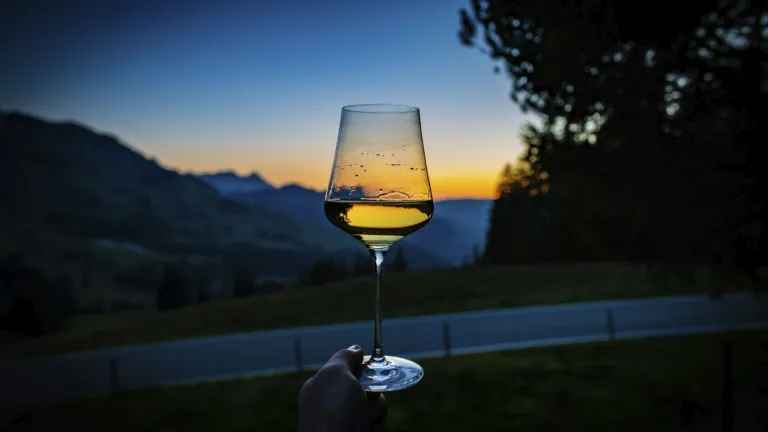 Moscatel: an In-Depth Wine Profile