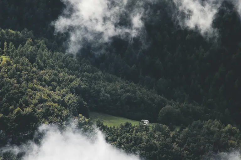 Delle Venezie (Trentino-Alto Adige)