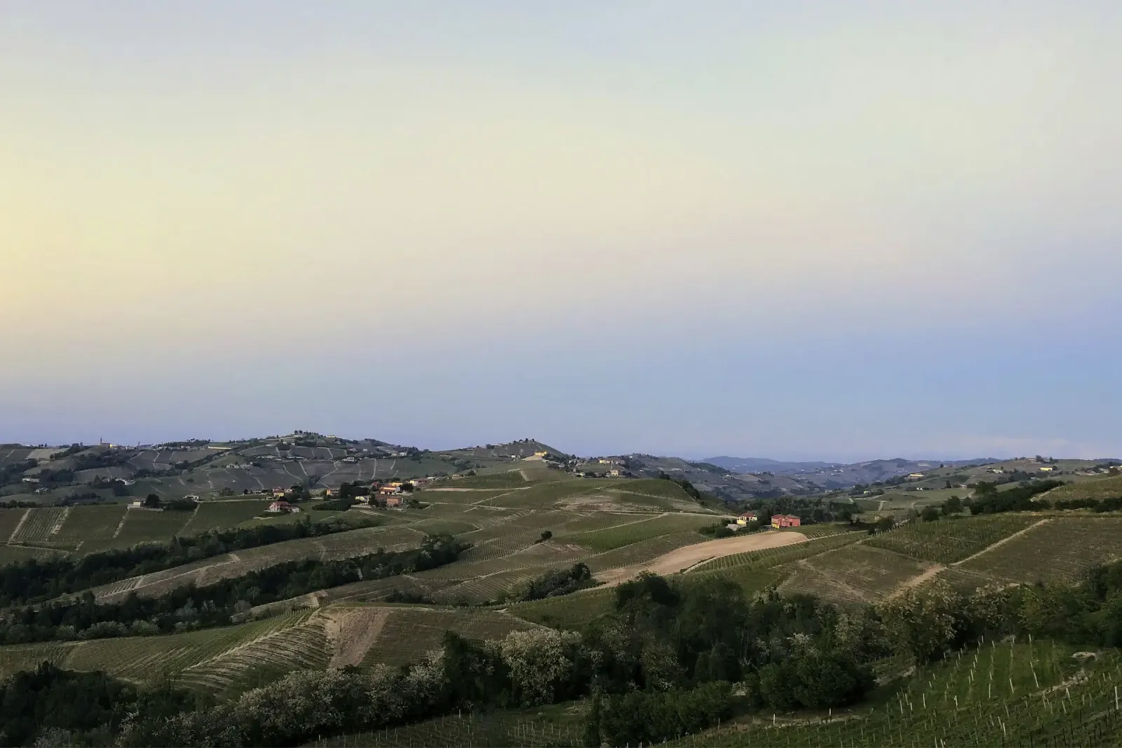 Dolcetto di Diano d’Alba