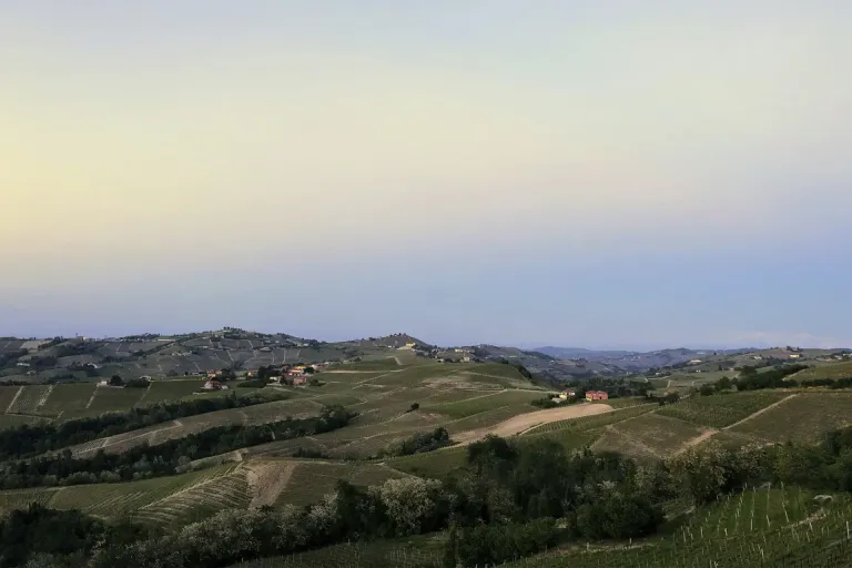 Dolcetto di Diano d’Alba