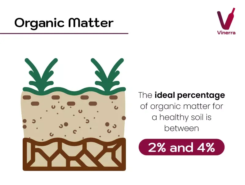 amount of organic matter in soil