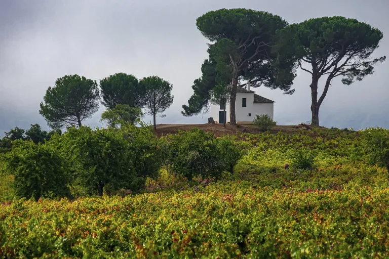 El Bierzo
