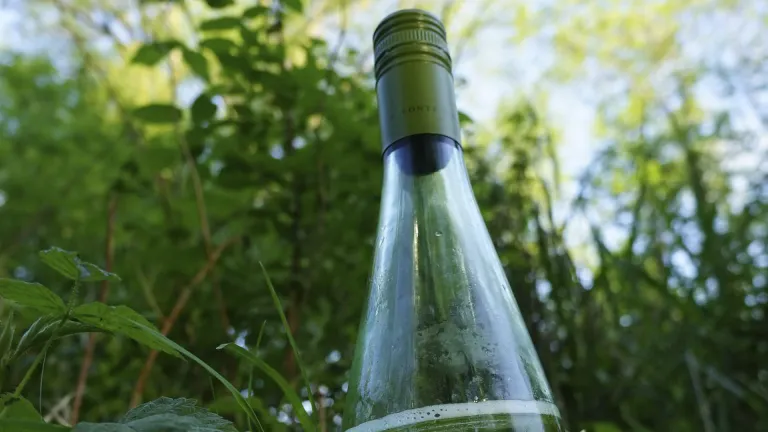 Vinho Verde: an In-Depth Wine Profile