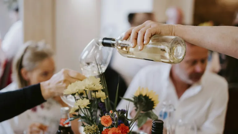 Fiano: An In-Depth Wine Profile