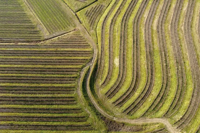 Friuli Latisana