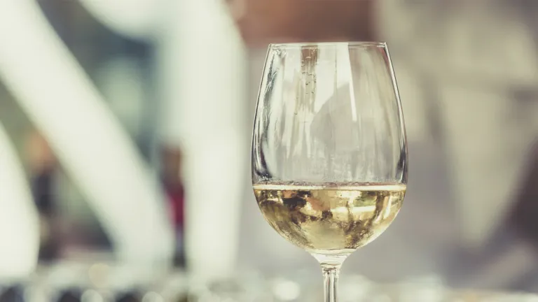 Glera: an In-Depth Wine Profile