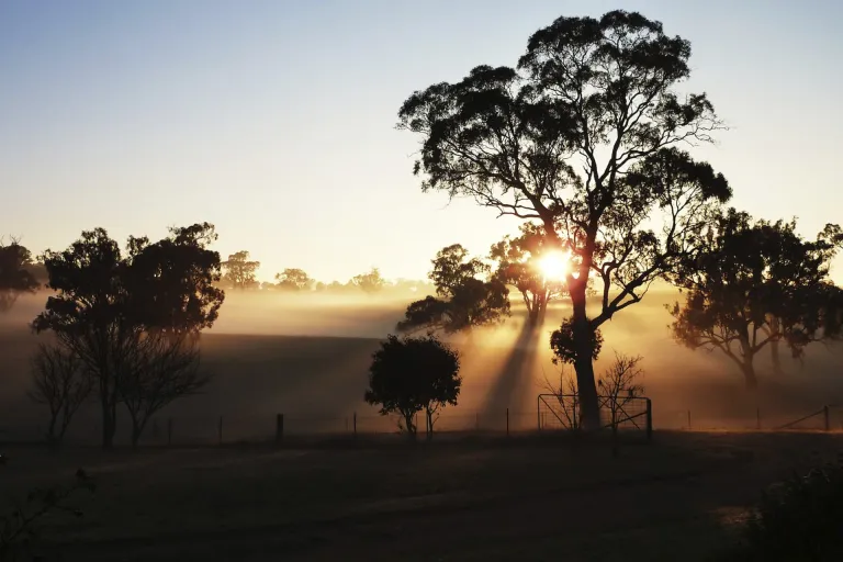 Upper Goulburn