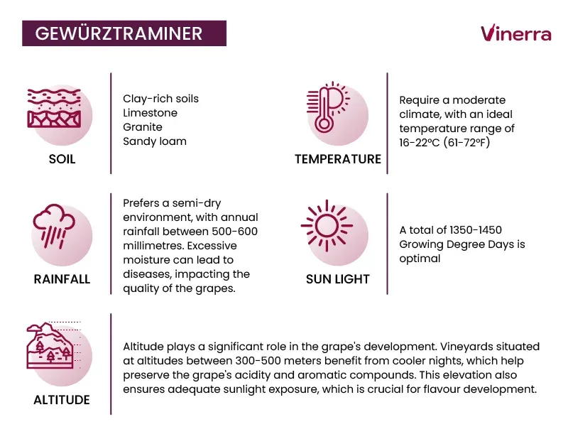 Key Climatic Conditions for Gewürztraminer Development