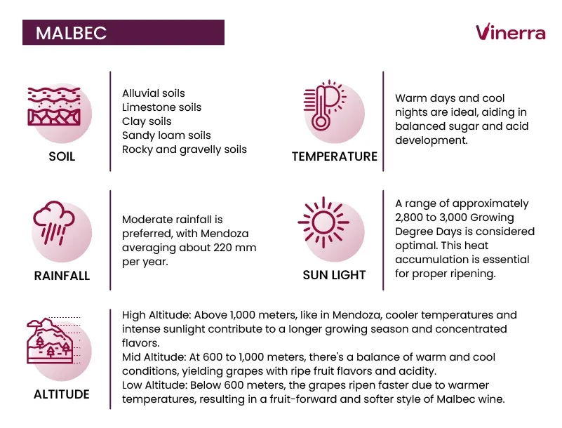 Ideal Viticultural Conditions for Malbec
