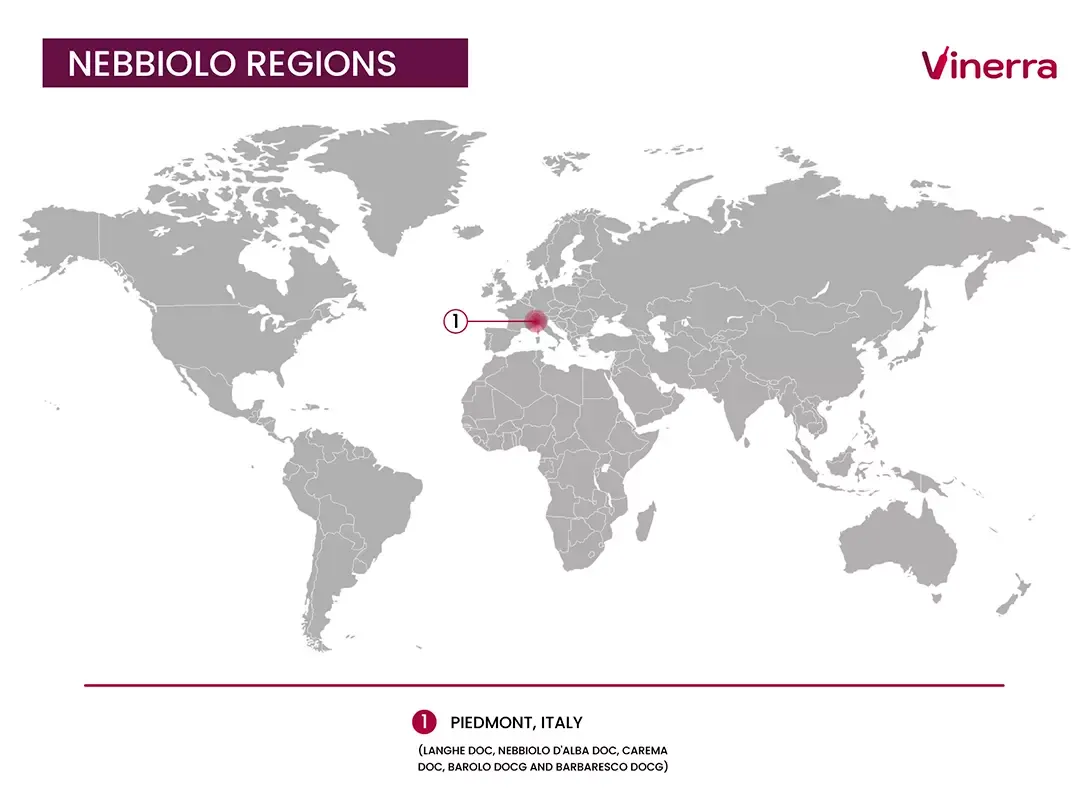 grape-profiles-map-base-nebbiolo