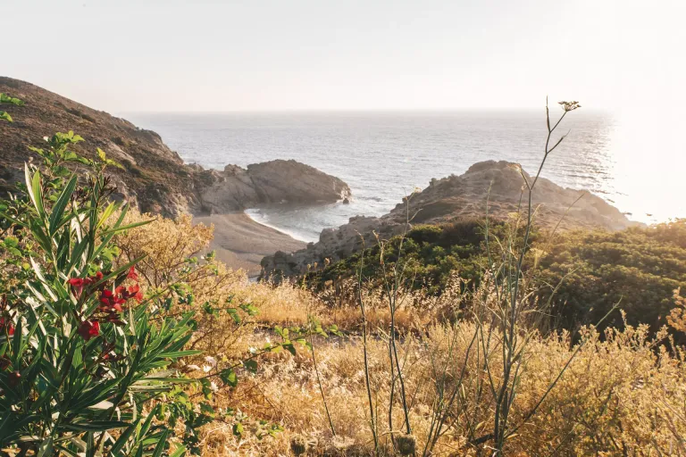 Ikaria
