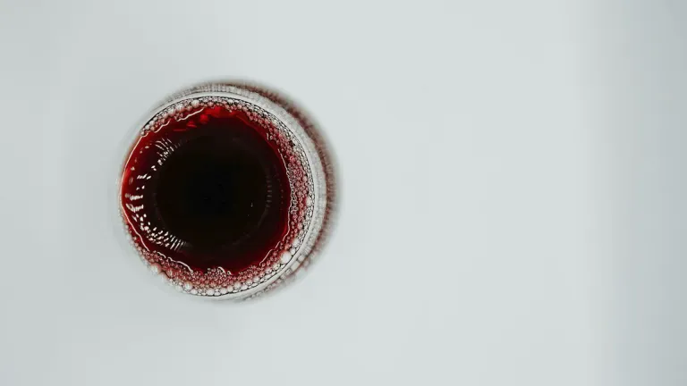 Barbera: an In-Depth Wine Profile