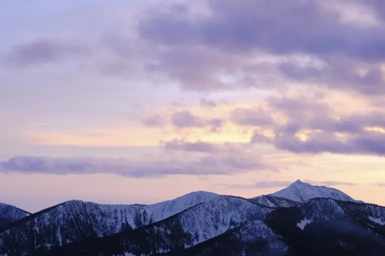 Kootenays